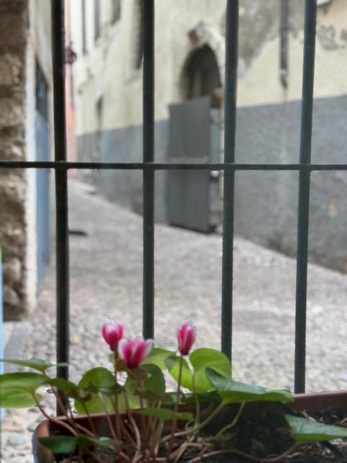 Duomo Nest Entire Apartment Trient Exterior foto